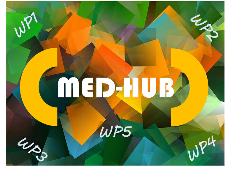 Colorful Med-Hub logo with two yellow semicircles and the text “MED-HUB” in the center, surrounded by the labels WP1, WP2, WP3, WP4, and WP5 on a multicolored geometric background.